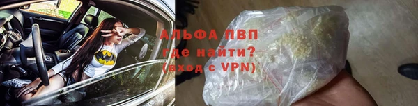 прущие грибы Костерёво