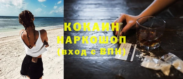 прущие грибы Костерёво