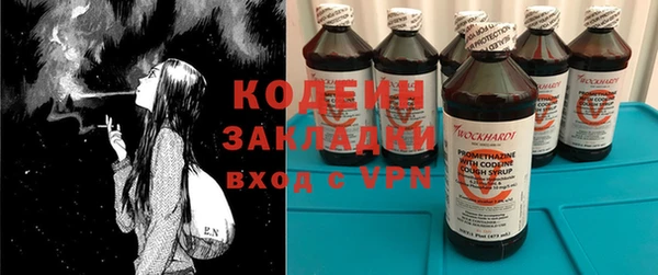 прущие грибы Костерёво