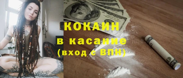 прущие грибы Костерёво