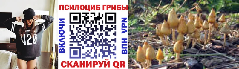 Галлюциногенные грибы Psilocybine cubensis  Купить  Дмитровск 